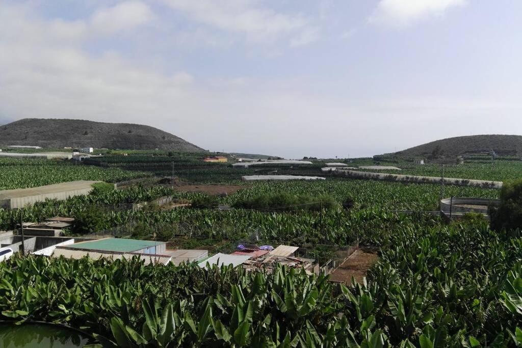 Bonito Y Amplio Piso En Los Llanos De Aridane Kültér fotó